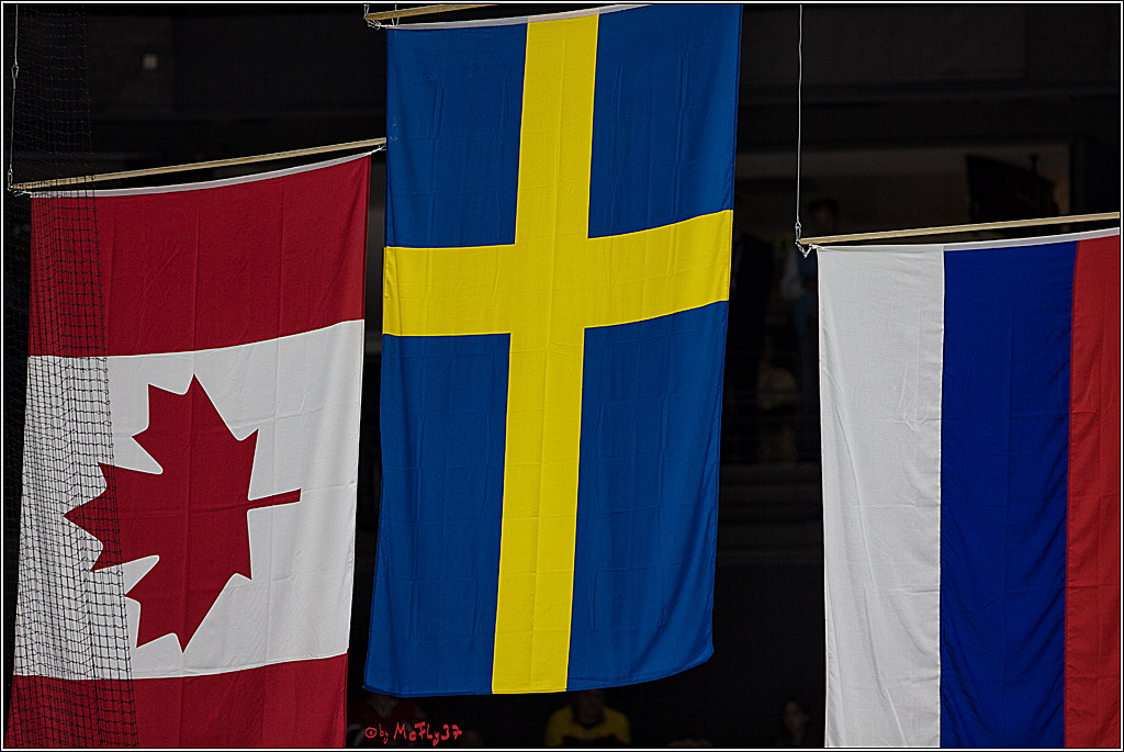 IIHF WM 2017, Kanada - Schweden, 21.05.2017